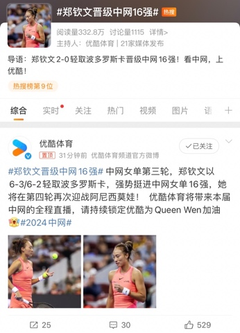 “網(wǎng)球中國季”熱力開啟優(yōu)酷體育助推中國網(wǎng)球熱潮(圖3)